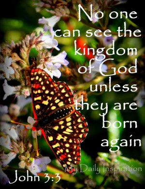 ... one can see the kingdom of God unless they are born again . John 3:3