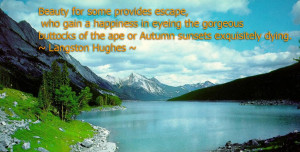 http://www.imagesbuddy.com/beauty-for-some-provide-escape-nature-quote ...