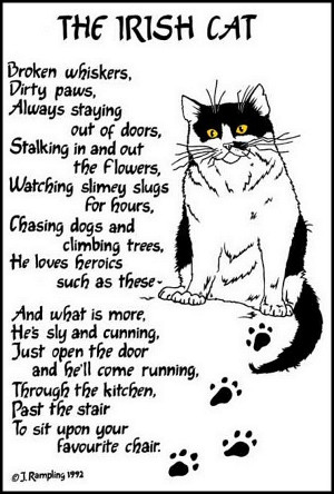The Irish Cat : Poster and Poem