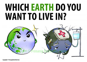 So what can we do to appreciate Mother Earth?