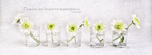 Daisy Line Up With Quote Print by Vicki McLead
