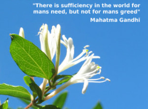 Holistic yoga meditation 4221 qld likes this quote by Mahatma Gandhi-