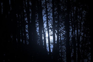 Desiderata; a blue moon night landscape