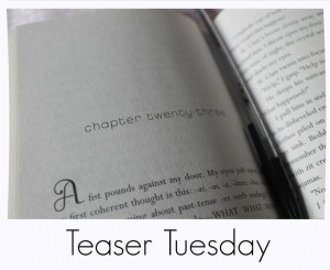 Teaser Tuesdays is a weekly bookish meme, hosted by MizB of Should Be ...