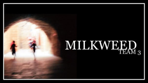 Milkweed - Team 3