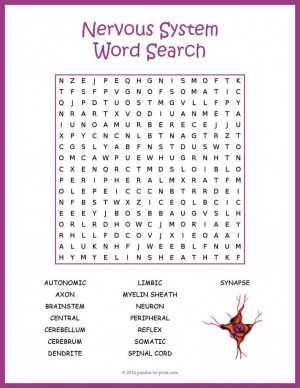 word search puzzle featuring nervous system vocabulary words ...