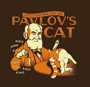 quotes to make you laugh out loud quotes quotes to