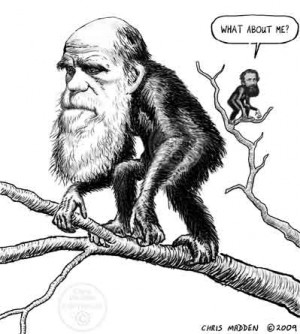 caricature of Darwin and Wallace with Wallace being depicted as a much ...