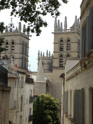 Towers of the Cathedral of S. Pierre