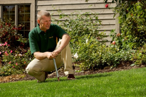 Get a FREE Lawn Care Quote!
