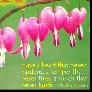 Bleeding Hearts, one of my all time favorites & a beautiful quote by ...