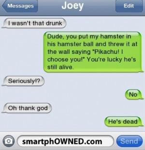 pikachu #i wasn't that drunk #hamster