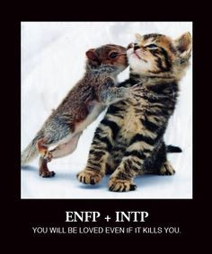 ENFP + INTP. More