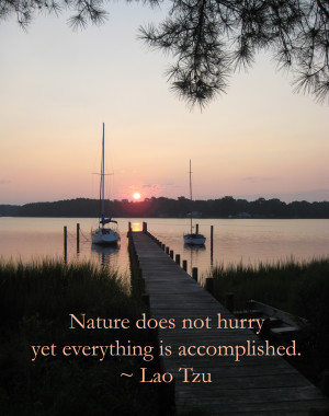 Inspirational quote about nature from Lao Tzu