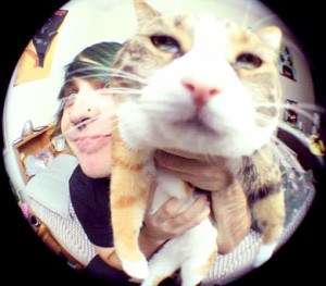 cat funny gorgeous YouTube jojo fish eye lense mattg124