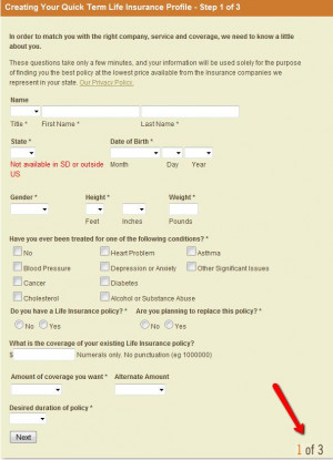 Term Life Insurance Online Quote