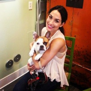 ... Bella Girlcrush, Bella Bombs, Brie Mode, Wwe, Dogs Josie, Brie Bella