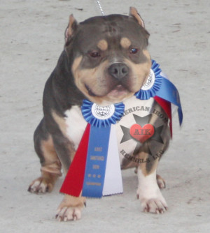 Boston George (real name George Jung) was a famous coke dealer He ...