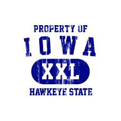 property_of_iowa_the_hawkeye_state_golf_balls.jpg?height=250&width=250 ...