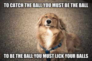 Zen dog – meme: To catch the ball you must be the ball…