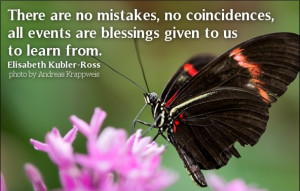 There are no mistakes, no coincidences, all events are blessings given ...