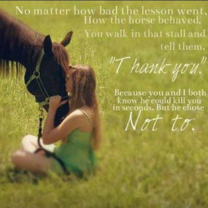 Quotes About Love And Horses