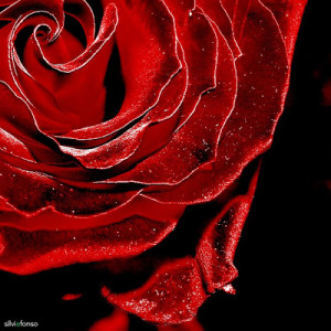 Funny Quotes Contact Us DMCA Notice