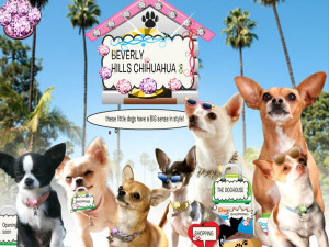 Disney Beverly Hills Chihuahua