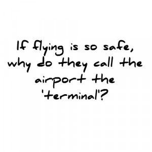 If-flying-is-so-safe.png (500×500)