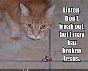 funny-pictures-cat-worries-he-has-broken-jesu s picture