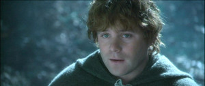 Samwise-Gamgee-samwise-gamgee-