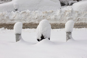 Sick Of Snow Quotes The snow is grand!