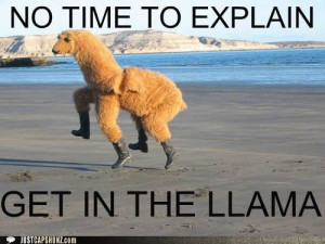 Kitesurfing funny-captions-no-time-to-explain-get-in-the-llama