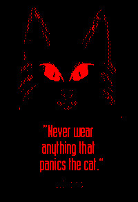 ... cat, Cayenne, I guess you have to have a cat to appreciate this