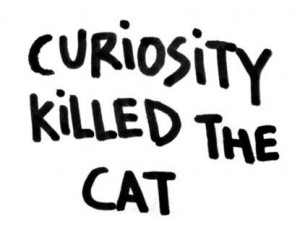 Southernism - curiosity killed the cat.