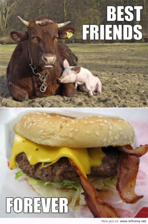 Extremely Funny Animal Pictures Quotes: Funny Animal Pictures Quotes ...