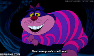 Alice in wonderland cartoons comics disney quote cheshire cat gif