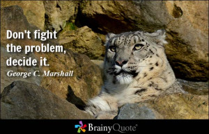 Don't fight the problem, decide it. - George C. Marshall