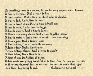 ecclesiastes 3 1 8 bible