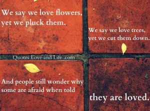 We Say We Love Flowers yet We Pluck Them