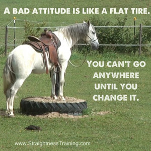 Lets Your Horse Teach You