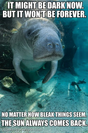 ... about you than you know. More inspiration and manatees to follow