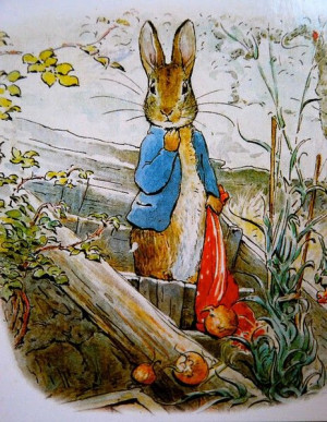 Beatrix Potter. Peter Rabbit with the pocket hankerchief to fill with ...