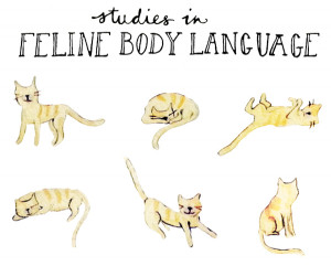 cat body language meanings