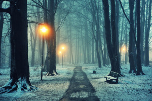 Added: July 3, 2012 | Image size: 640 x 425 px | More from: www.flickr ...