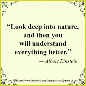 Life Quotes: Life Quote of Albert Einstein: Look deep into nature