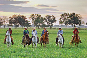 view original image )