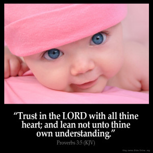 Proverbs 3:5 Inspirational Image
