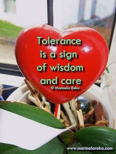 tolerance quotes for kids | Quote about tolerance | Short Poems ...