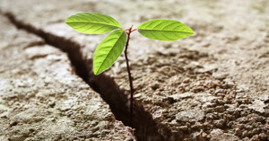 31 Inspirational Quotes To Remind You To Never Ever GIve Up